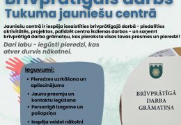 Brīvprātīgais darbs